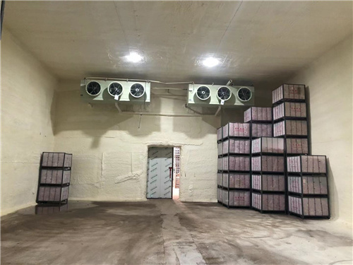 米兰体育平台官方网站-米兰(中国)
苹果冷库安装案例